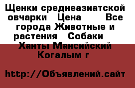 Щенки среднеазиатской овчарки › Цена ­ 1 - Все города Животные и растения » Собаки   . Ханты-Мансийский,Когалым г.